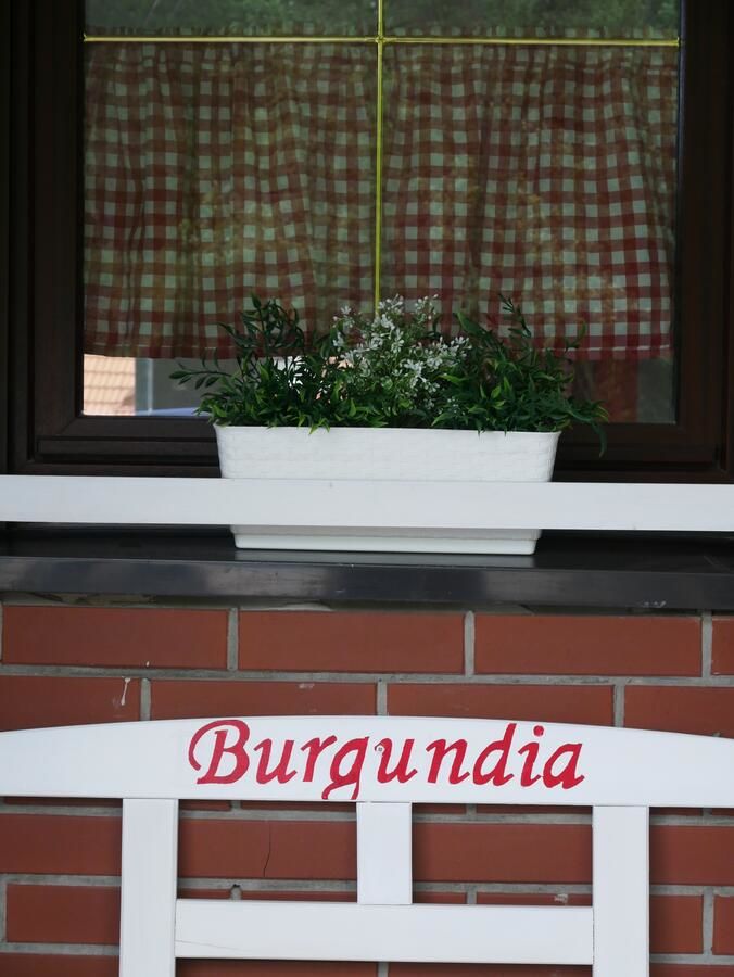 Дома для отпуска Niewinne domki - Burgundia Живец