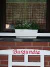 Дома для отпуска Niewinne domki - Burgundia Живец-1