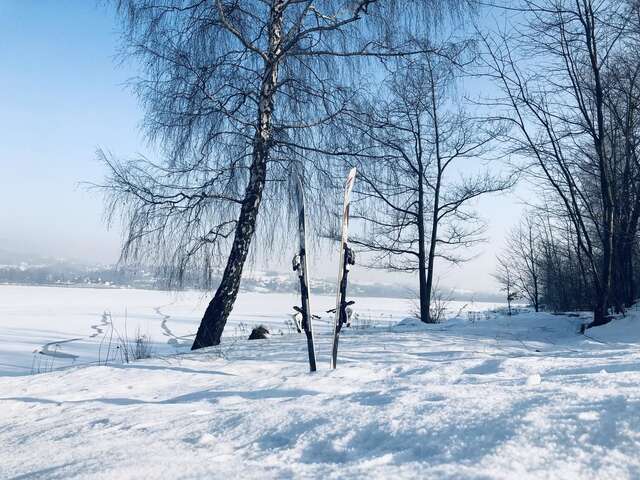 Дома для отпуска Niewinne domki - Burgundia Живец-43